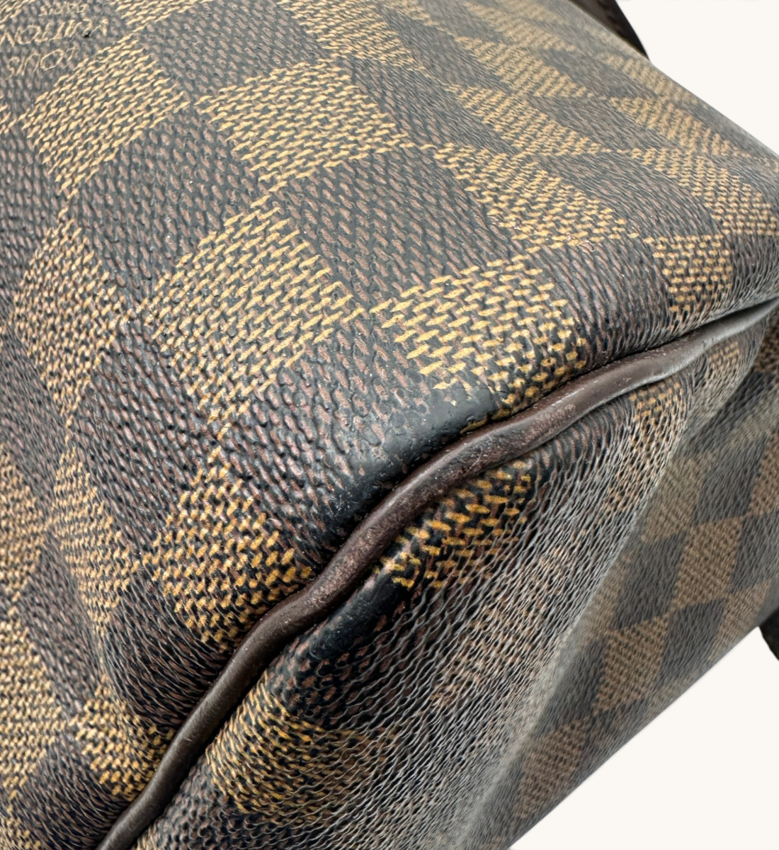 Louis Vuitton Speedy