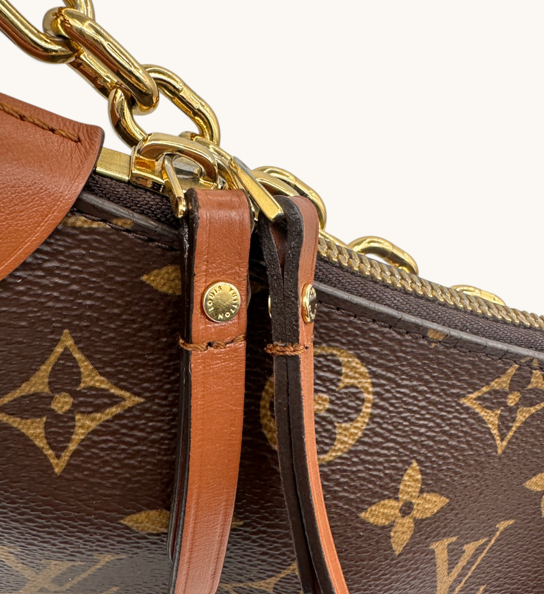 Loop Reverse Monogram Canvas Hobo Bag