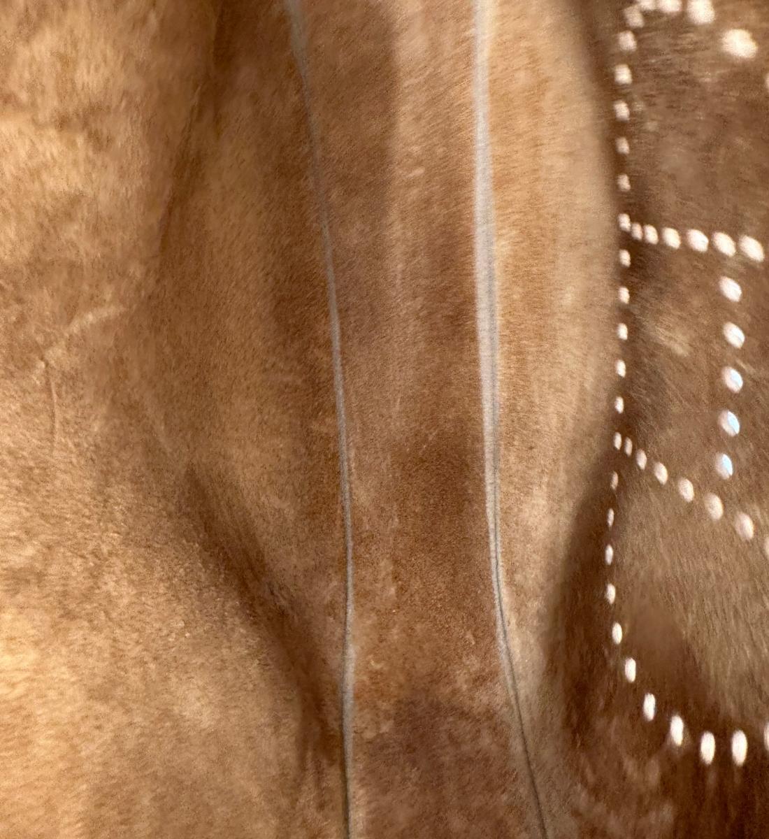 Evelyne PM Bag