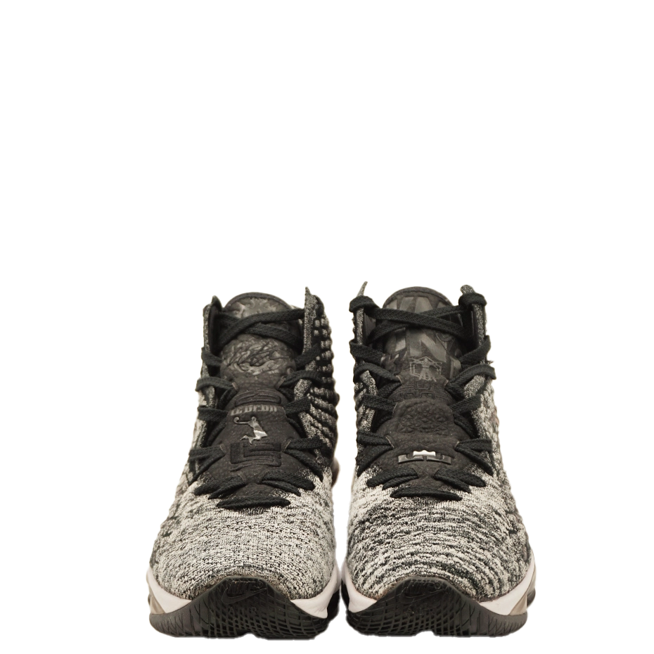 Lebron XVII In The Arena