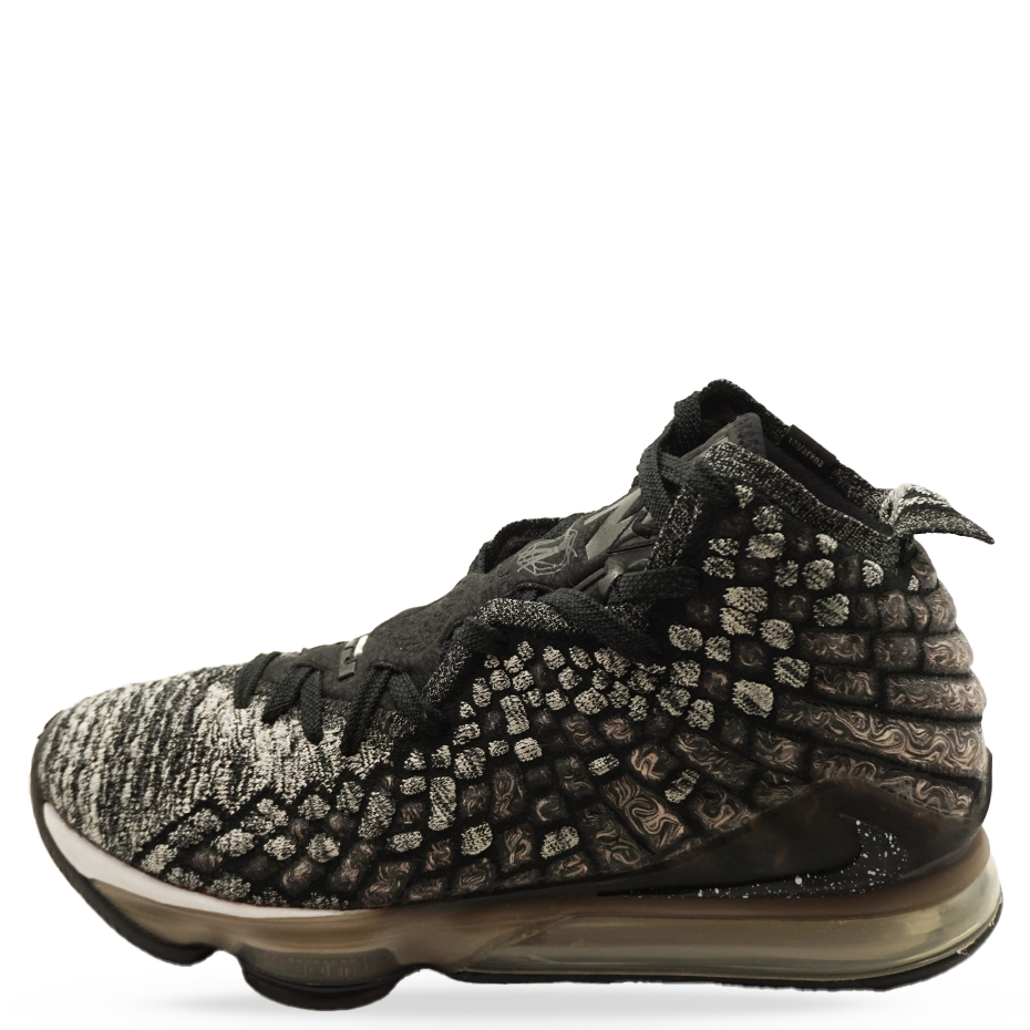 Lebron XVII In The Arena